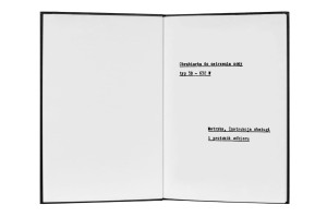 e-book Dokumentacja DTR Szlifierka 3B632W (PL)