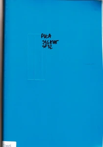 Dokumentacja DTR, instrukcja Sicmat SP 32 (IT)