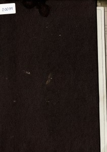 Dokumentacja DTR, instrukcja Strugarko-frezarka C25-4/5 (PL)