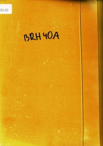 Dokumentacja DTR, instrukcja Szlifierka BRH40A (CS)