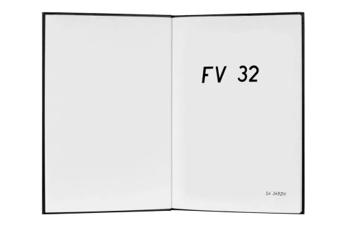 FV_32.jpg